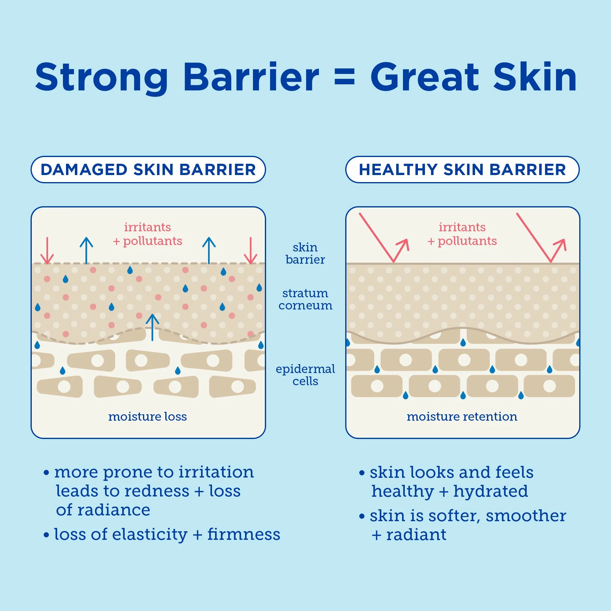 Barrier  Triple Lipid-Hyaluronate Serum