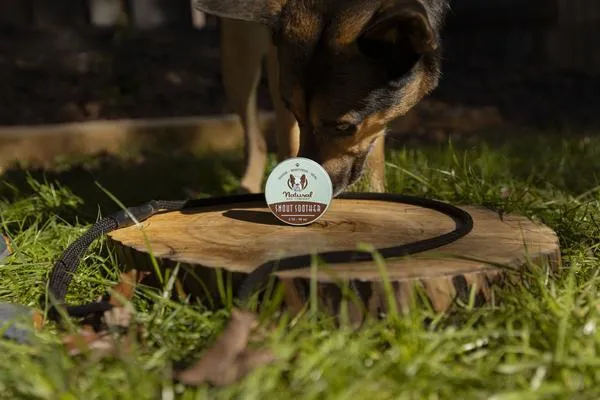 Natural Dog Company Snout Soother