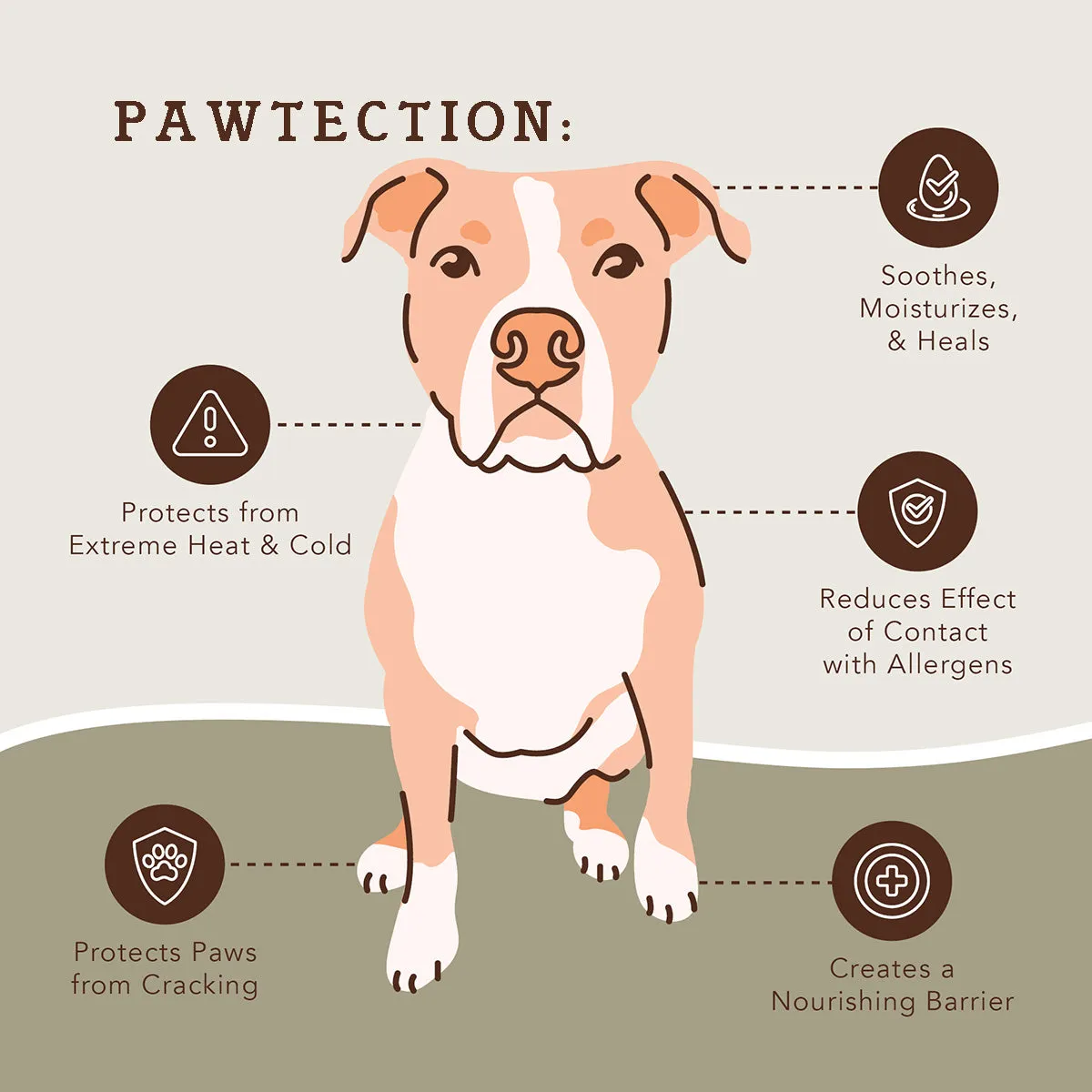 Paw Soother®   PawTection