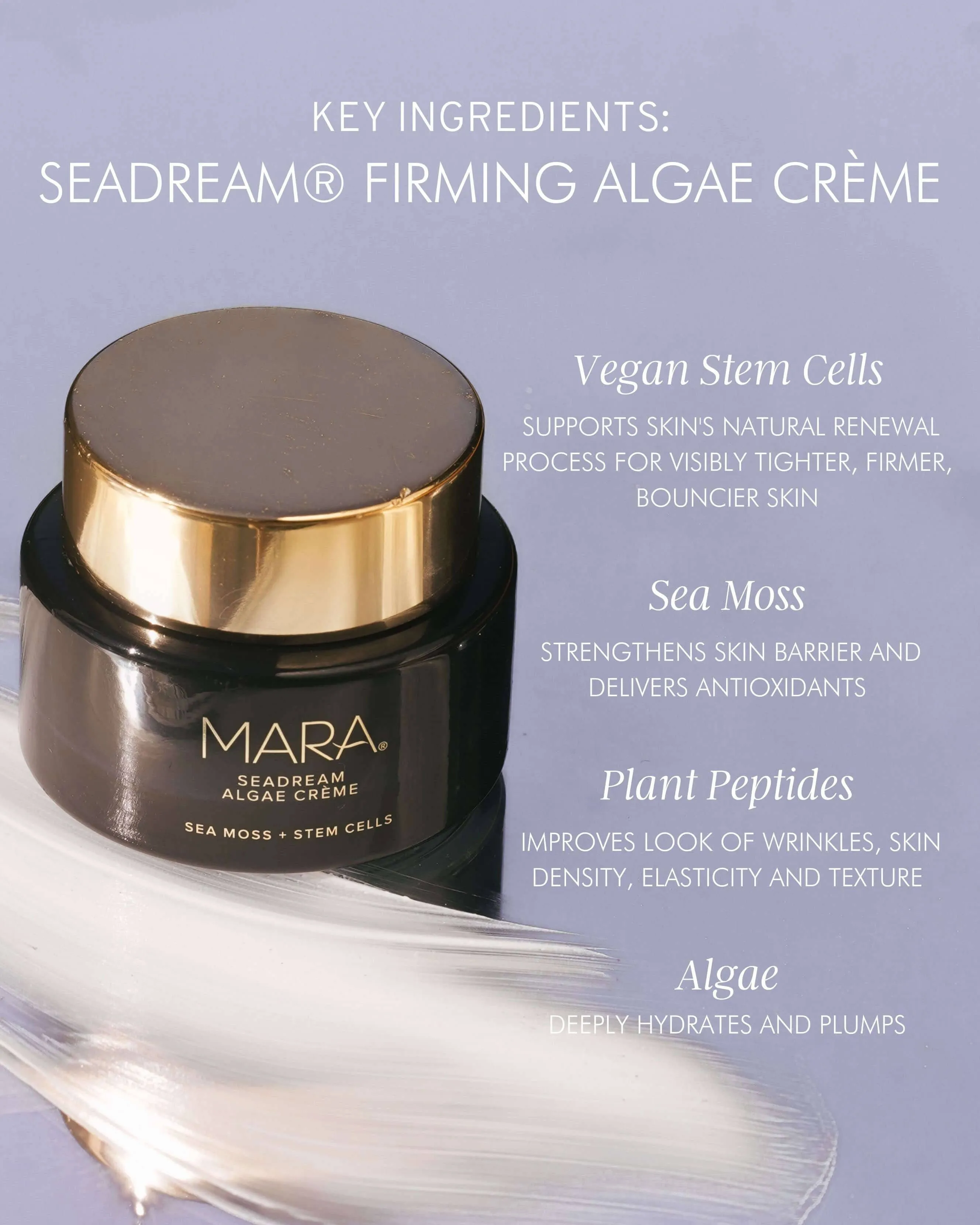 Sea Moss   Stem Cells SeaDream Firming Algae Créme Moisturizer